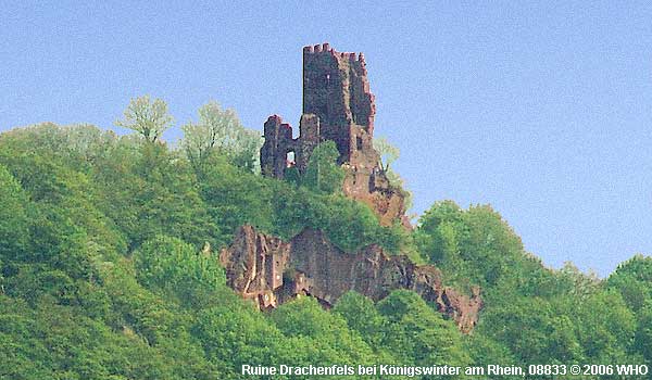 Ruine Drachenfels bei Knigswinter am Rhein, 08833  2006 WHO