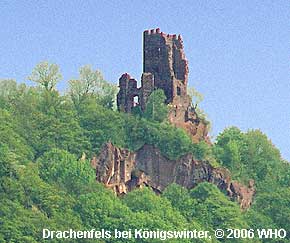 Drachenfels bei Königswinter, 08833 © 2006 WHO